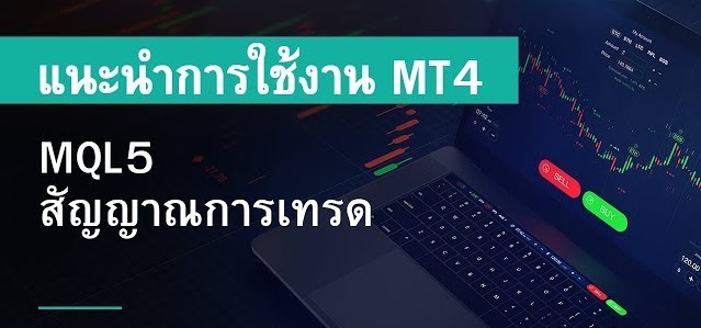 XM : MT4 – MQL5 สัญญาณการเทรด