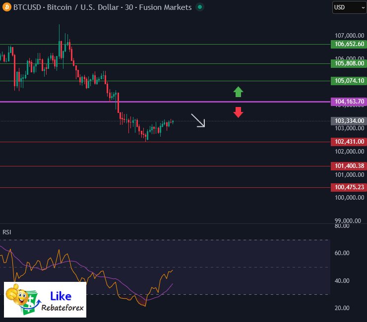Bitcoin Technical Analysis : BTC/USD 12 November 2025