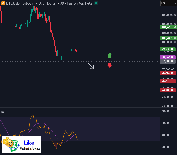 Bitcoin Technical Analysis : BTC/USD 14 November 2025