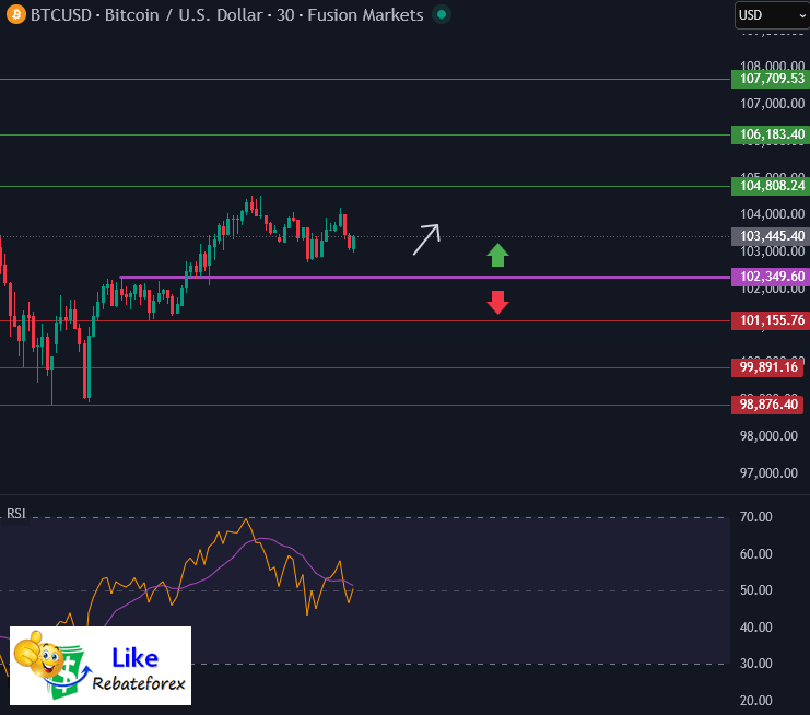 Bitcoin Technical Analysis : BTC/USD 6 November 2025
