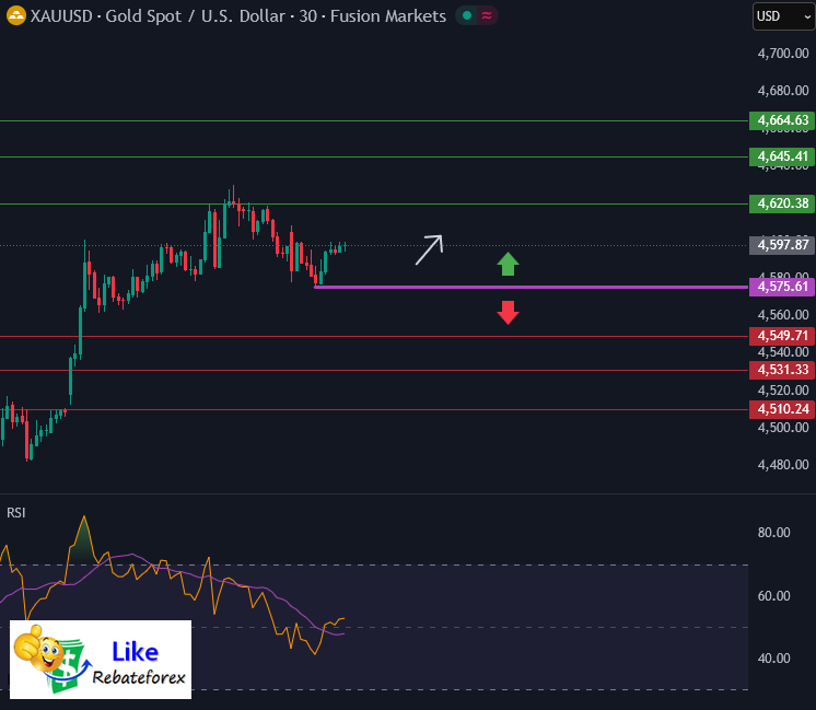 Technical Analysis (Gold) : XAU/USD 13 January 2026